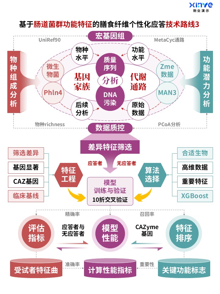 肠道菌群功能与膳食纤维个性化应答技术路线图3,宏基因组特征和预测模型